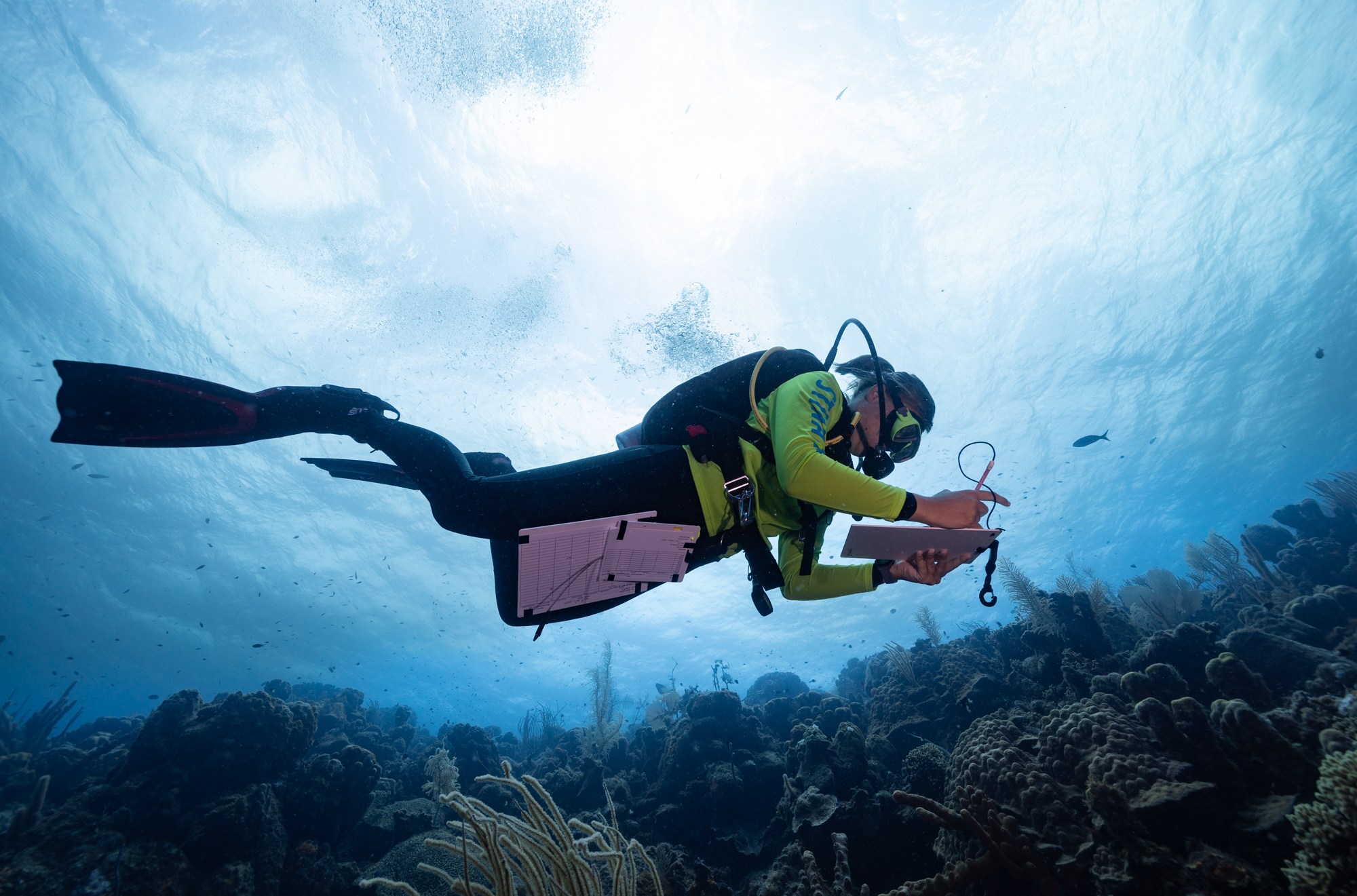 Danielle de Kool, a biologist and environmentalist for the environmental group in Bonaire, surveys the ocean.